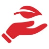 Hand holding a leaf