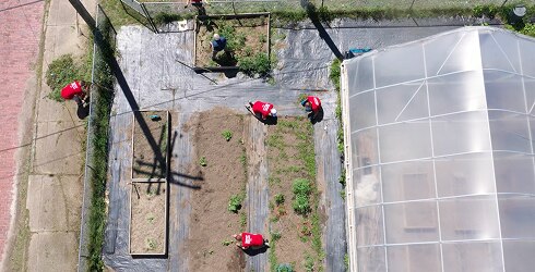 Ariel view of a community garden