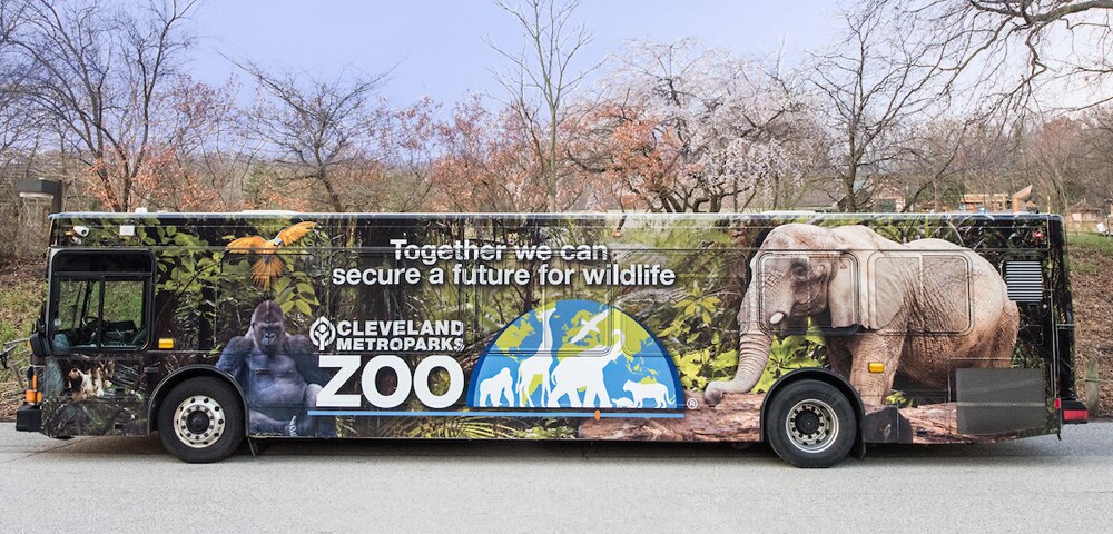 Wildlife Conservation Leads As Cleveland Metroparks Celebrates 100 Years