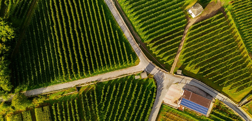 Agribusiness technologies and financing