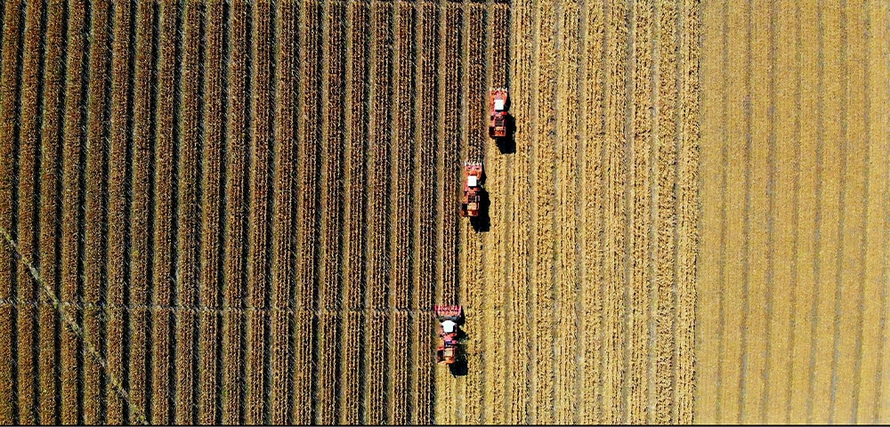 <p>Agribusiness at a crossroads: Navigating tariffs and tax cuts</p>
