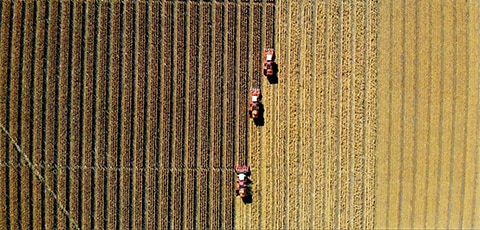 Agribusiness at a crossroads: Navigating tariffs and tax cuts