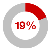 19%