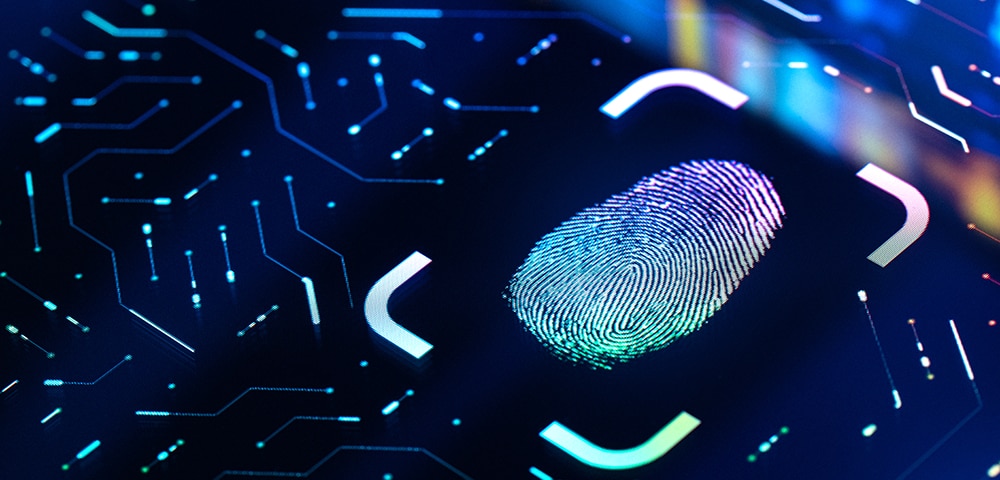 <p>Protecting your company’s data: special treatment for privileged access</p>