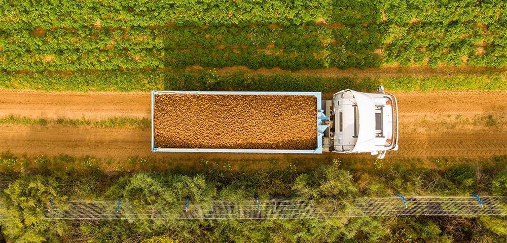 <p>Equipment financing sprouts options for strong potato growing market</p>
