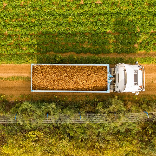 Farm truck carrying potatoes