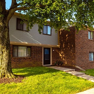 henderson court