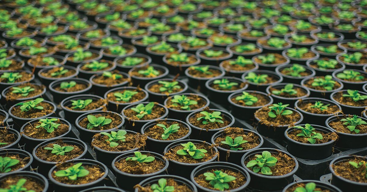 Agribusiness