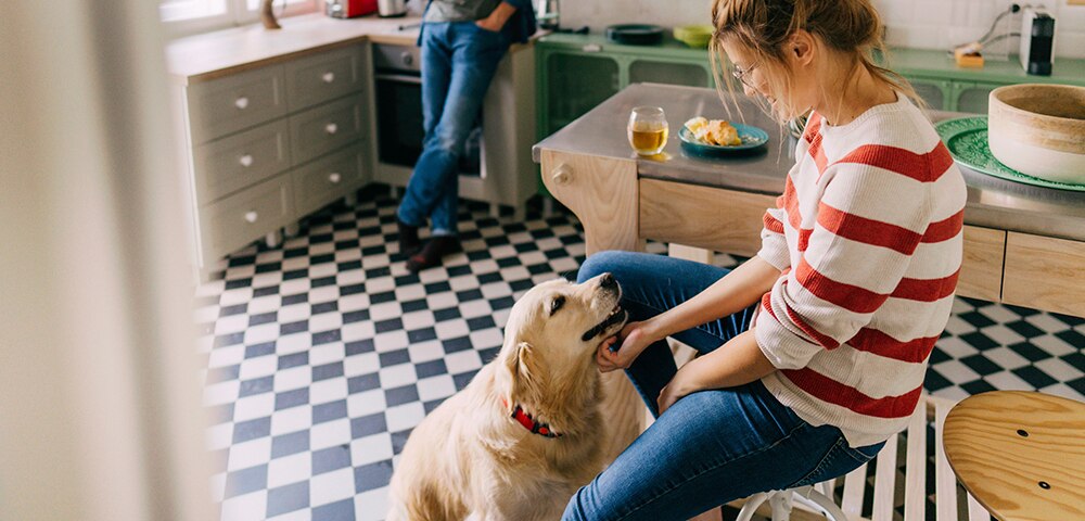 Pandemic Pets – Plan for the Expense of Your New Furry Friend