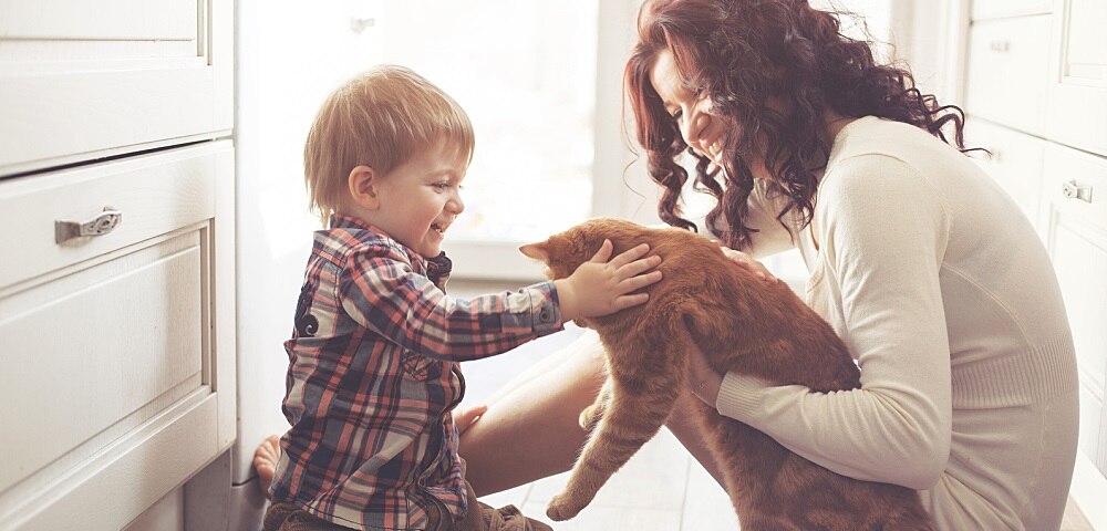 Selling Your Home When You Have Pets