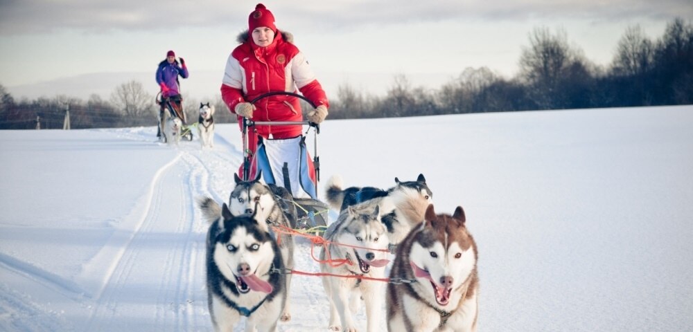 Winter Family Vacation Destinations Everyone Can Enjoy