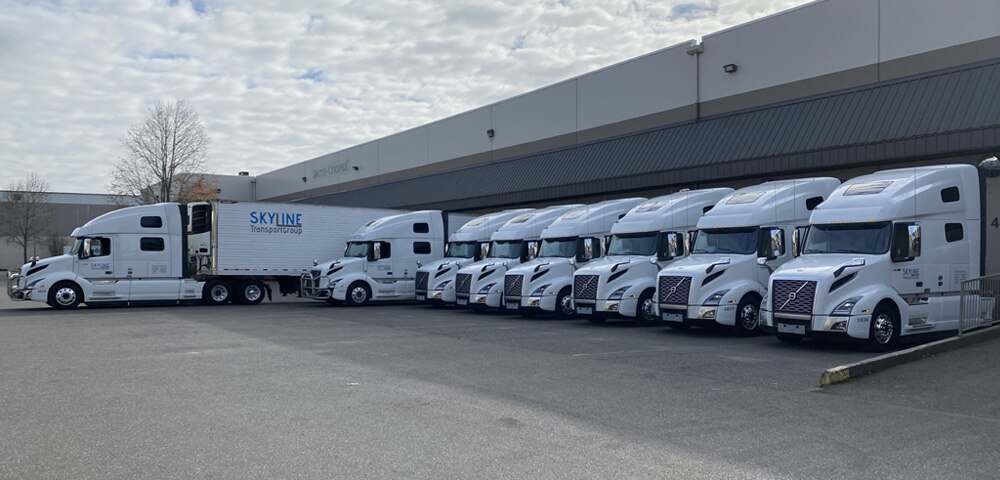 <p>Skyline Transport Group</p>
