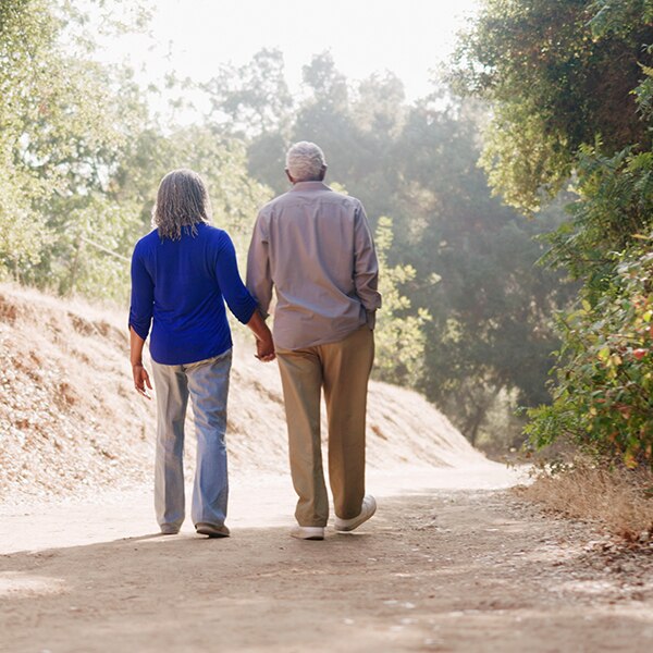 Social Security Trustees Report 2024 Brear Cissiee