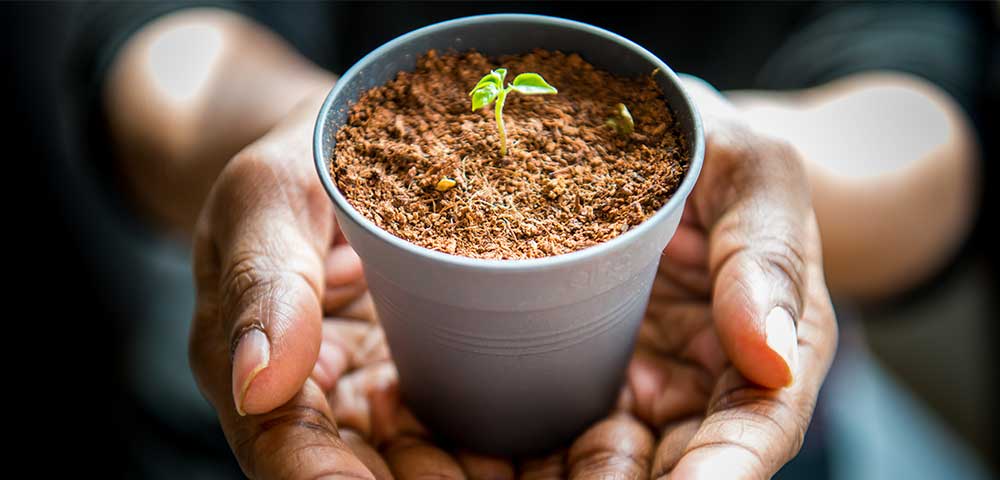 A How-To Guide for Charitable Giving: Making the Most of Your Donations
