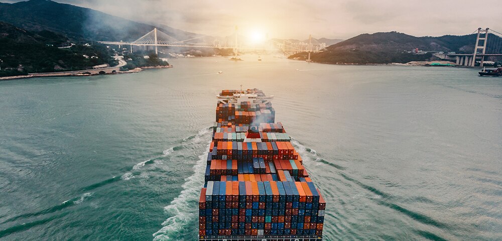 Key Investment Perspectives: January 2020