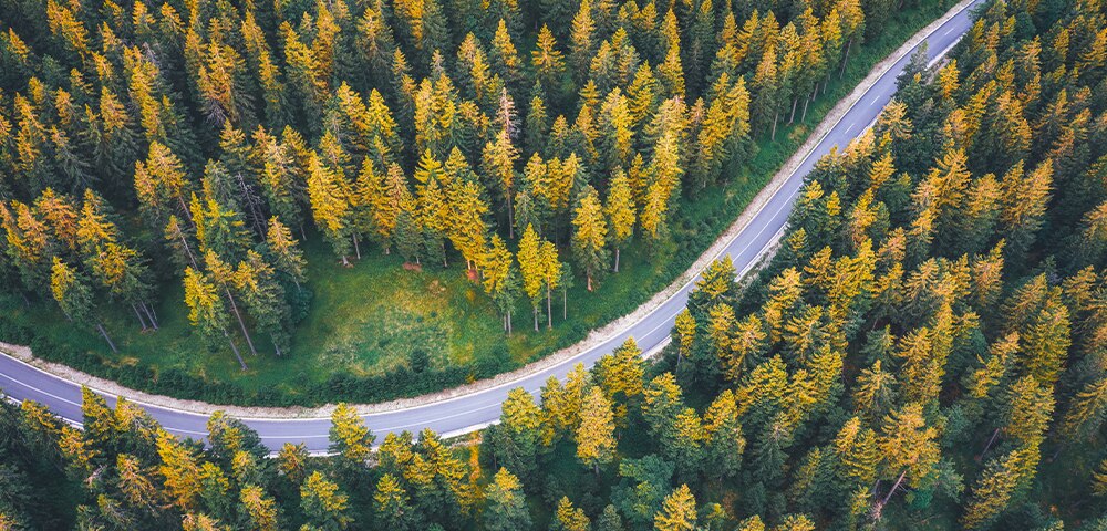 Key Investment Perspectives: July 2020