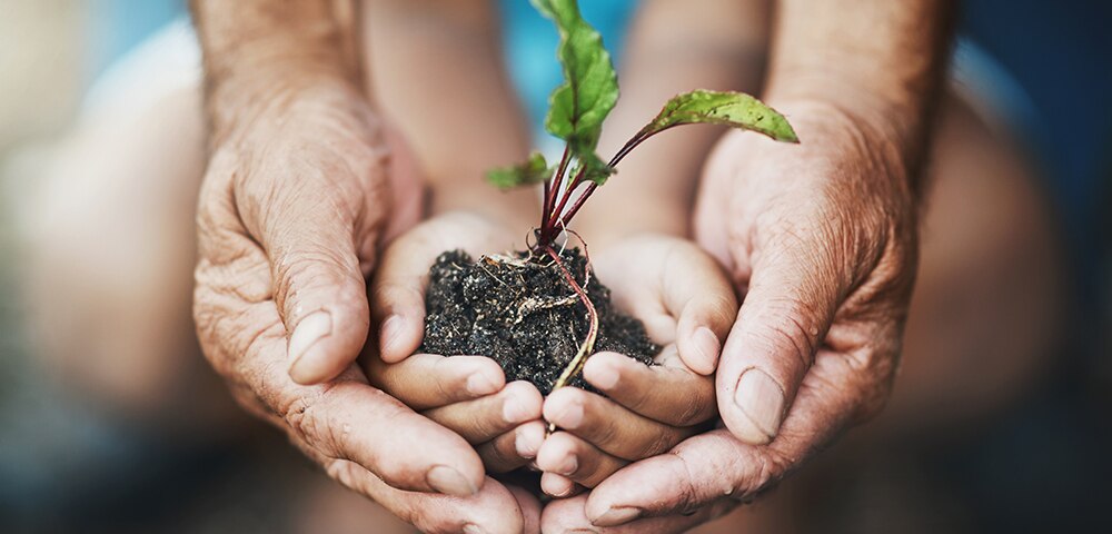 Key Private Bank Philanthropy Advisor Poll