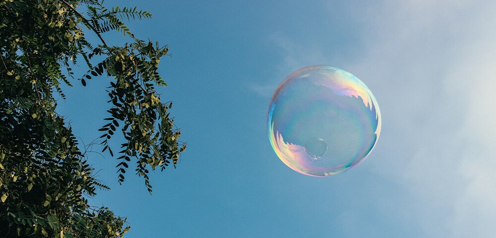 Key Questions: What Causes Bubbles To Burst?