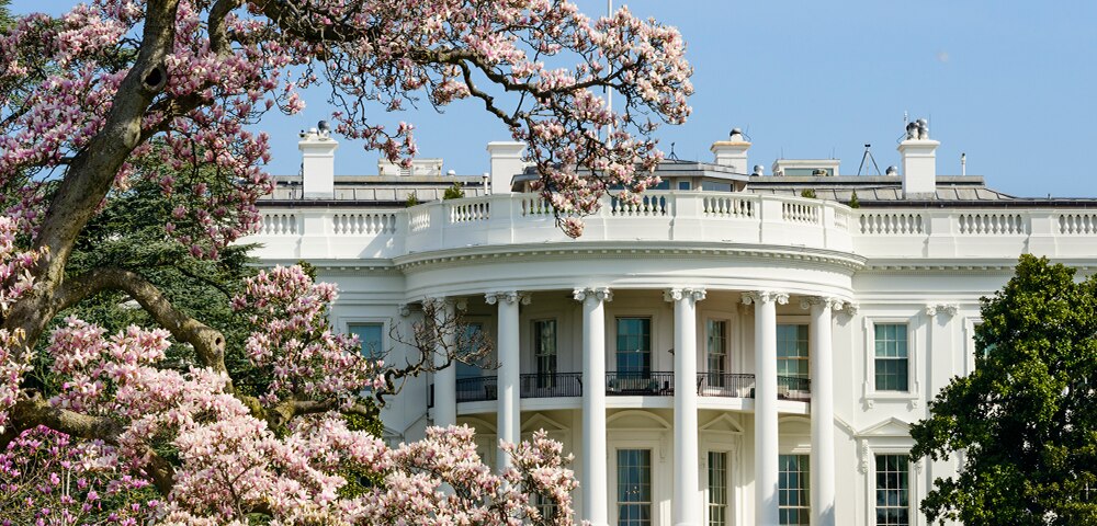 Key Questions: Will the Presidential Election Be Delayed?