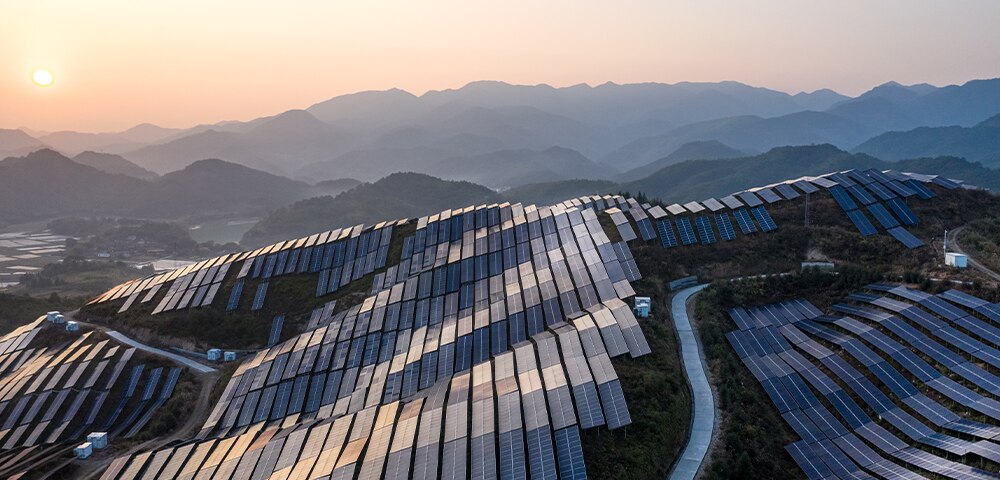 Key Questions: How Did a Tiny Investor Take On an Energy Giant?