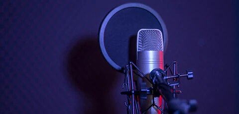Microphone and sound filter