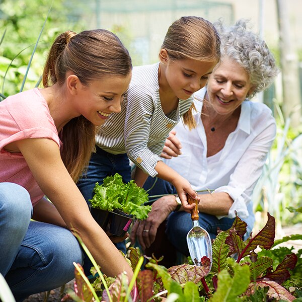 Considerations for the Great Wealth Transfer – Part Three How Can I Prepare My Children or Grandchildren for the Wealth They Will Inherit?