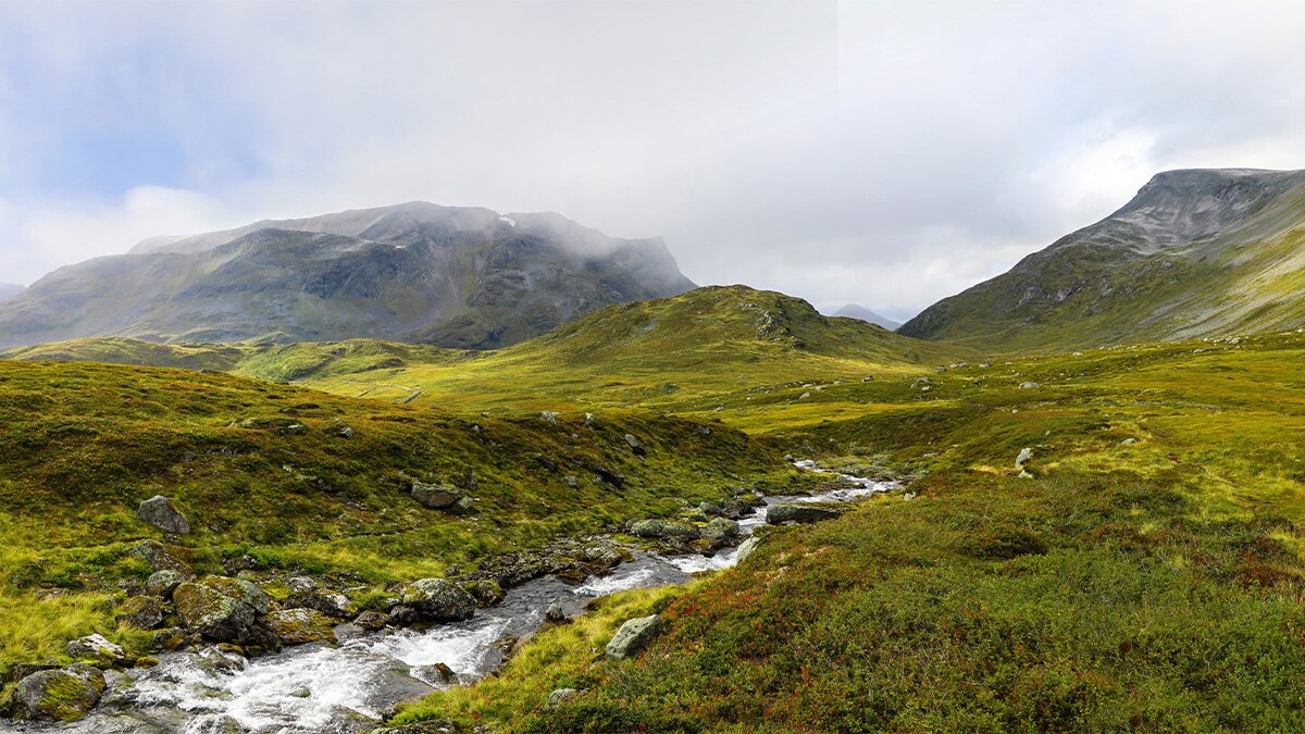 Creek flowing through green fields