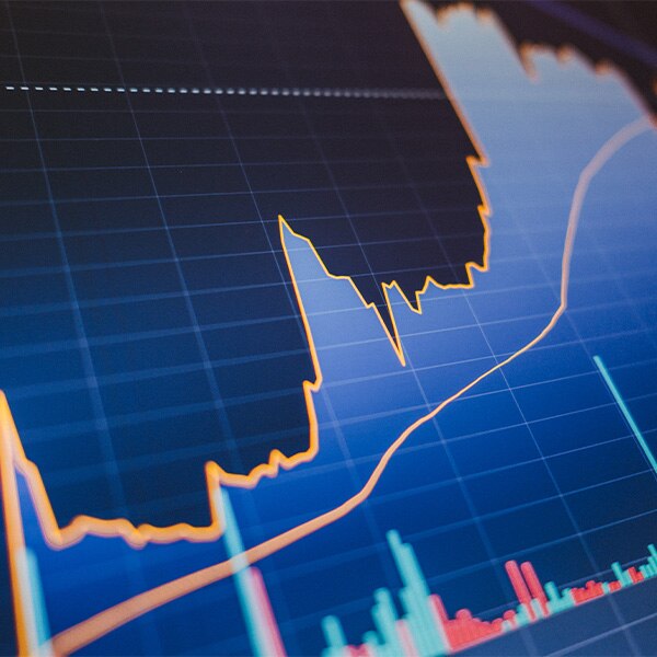 Graph showing rising and falling data