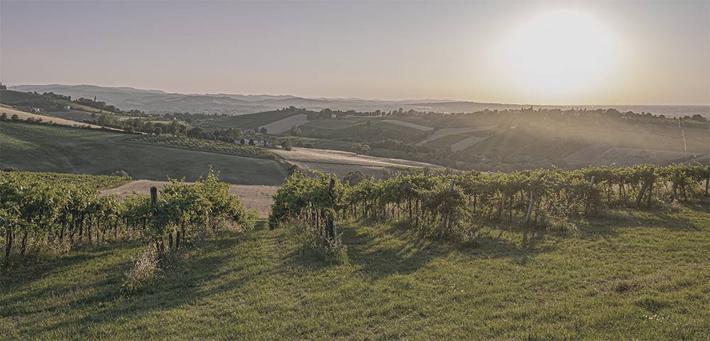 Beautiful landscape with sun setting in the background